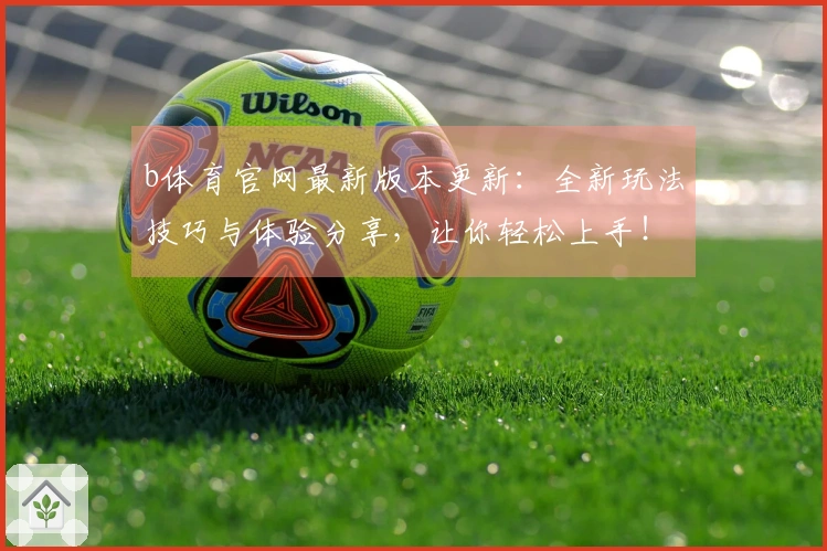 b体育官网最新版本更新：全新玩法技巧与体验分享，让你轻松上手！