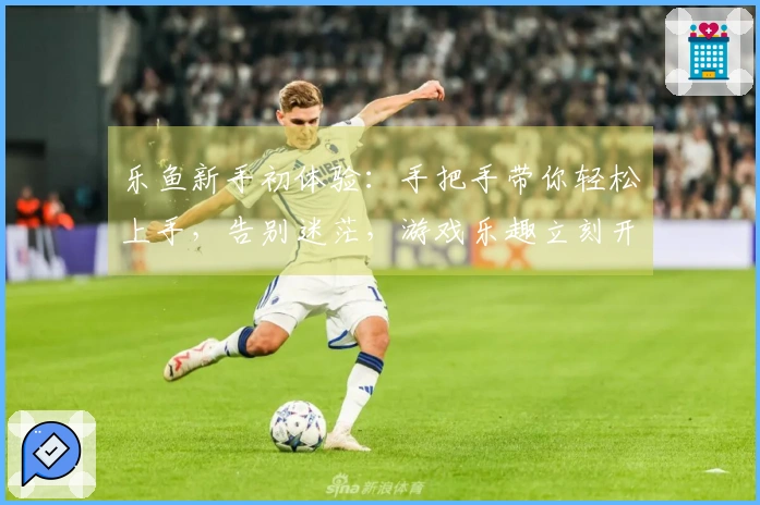 乐鱼新手初体验：手把手带你轻松上手，告别迷茫，游戏乐趣立刻开启